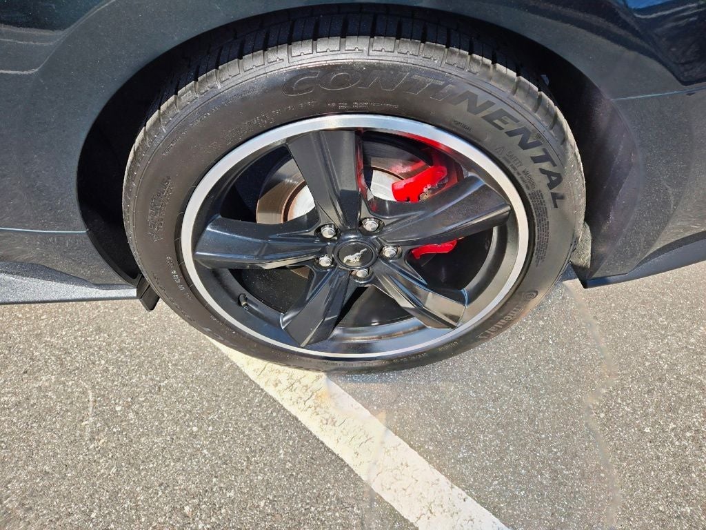 2019 Ford Mustang Bullitt