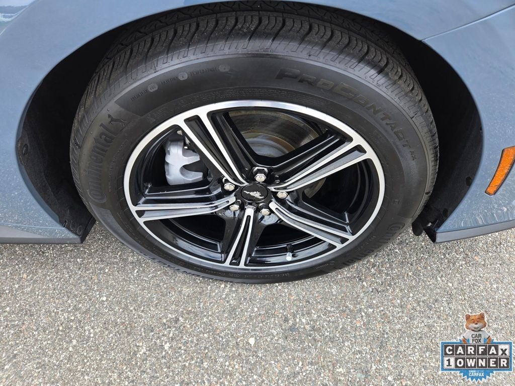 2024 Ford Mustang EcoBoost