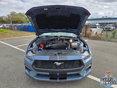 2024 Ford Mustang EcoBoost