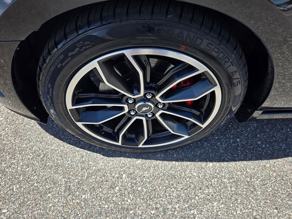2013 Ford Mustang GT Premium