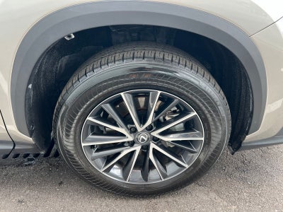 2024 Lexus NX 250 Premium