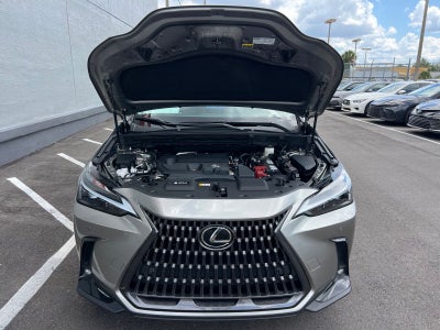 2024 Lexus NX 250 Premium