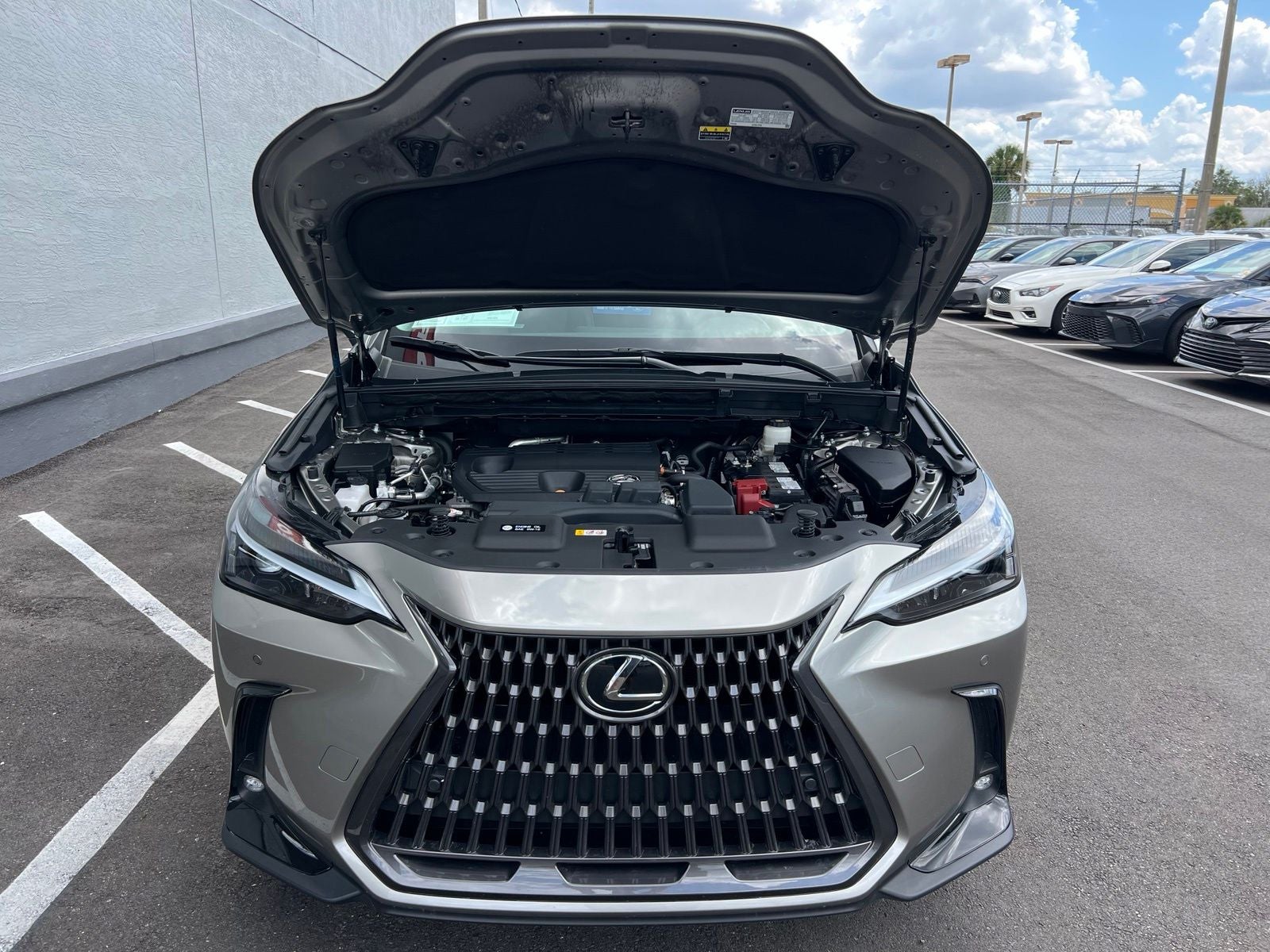 2024 Lexus NX 250 Premium