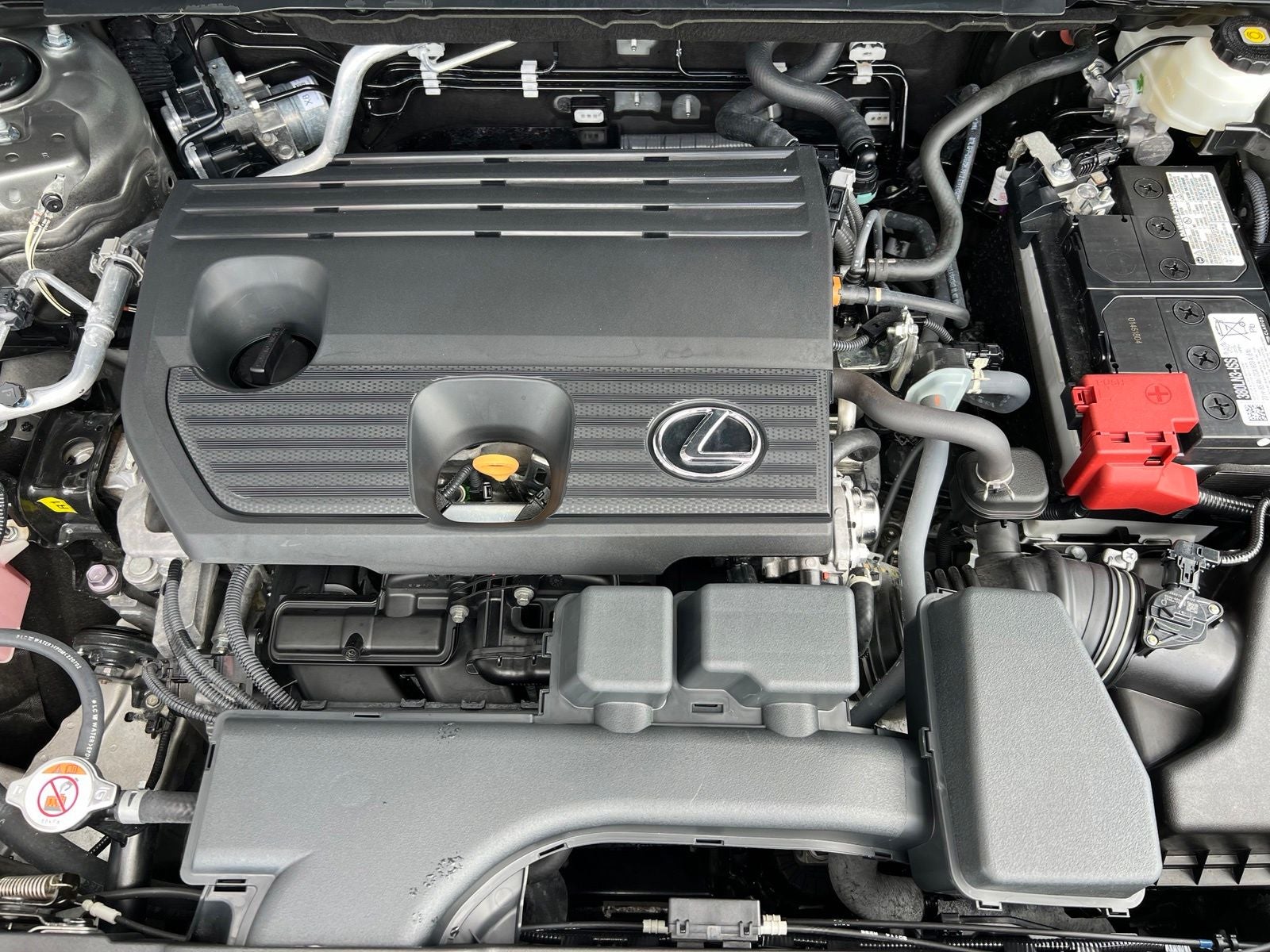 2024 Lexus NX 250 Premium