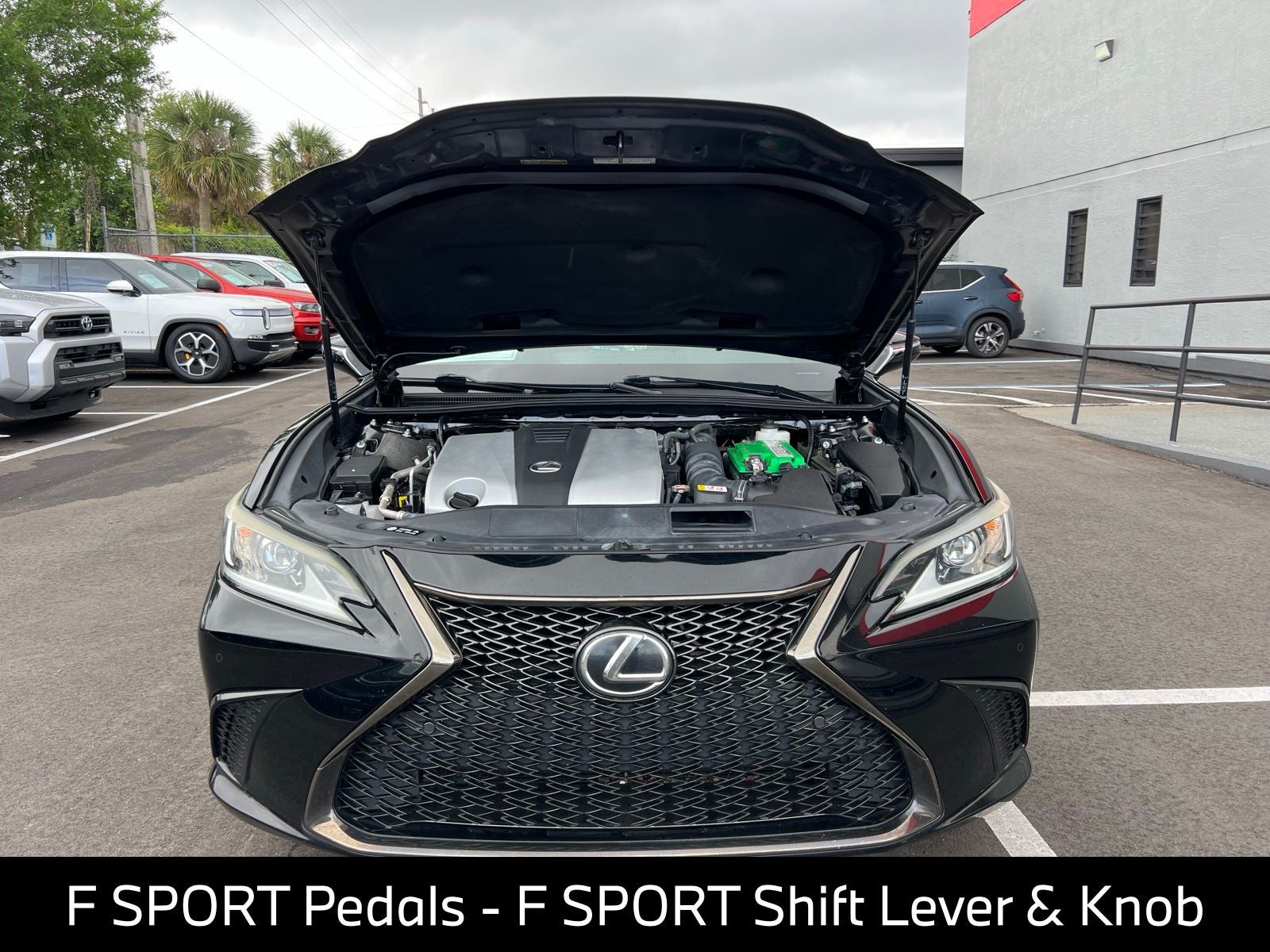 2020 Lexus ES 350 F Sport