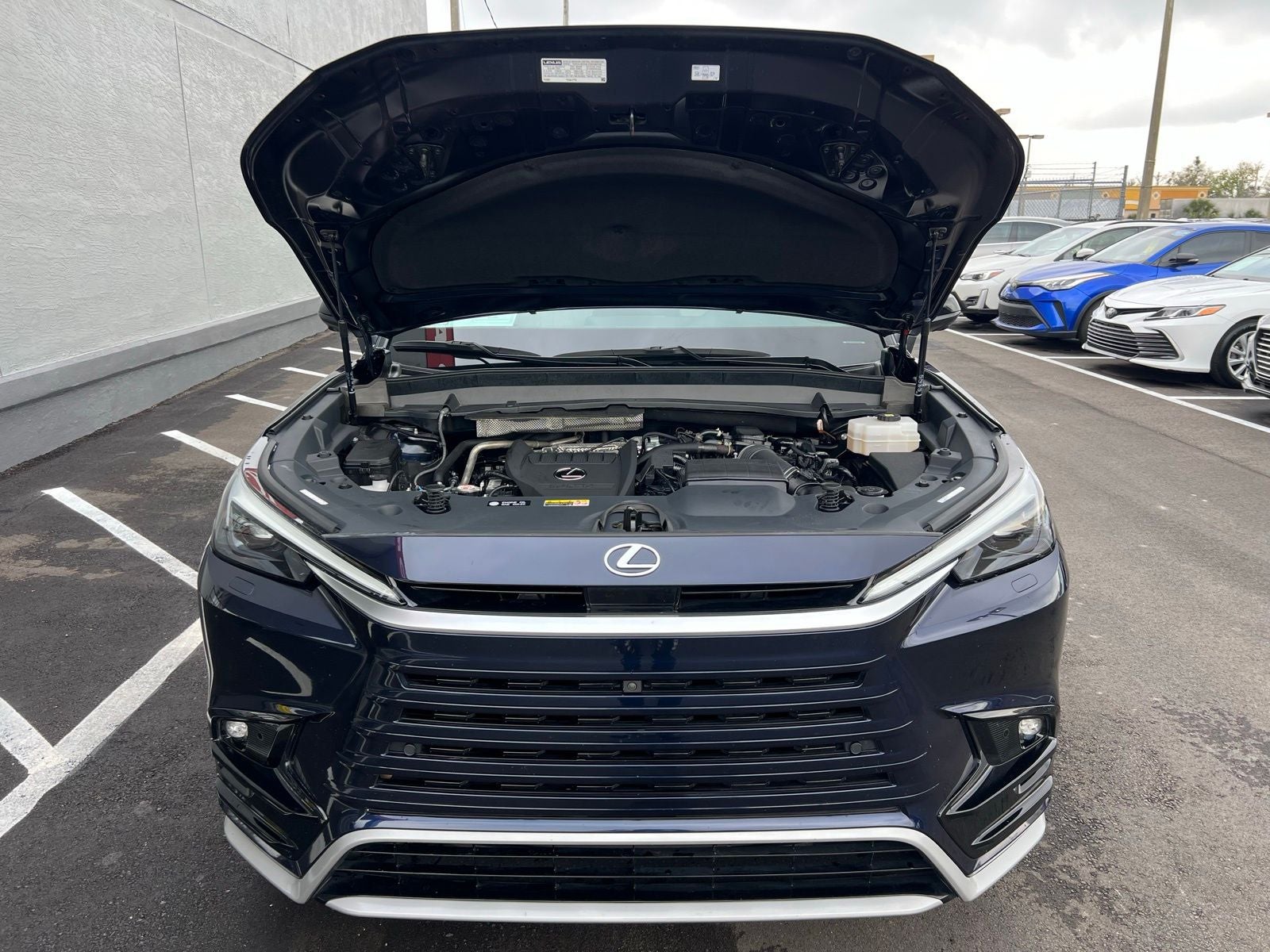 2024 Lexus TX 500h F SPORT Premium