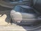 2021 Tesla Model 3 Performance