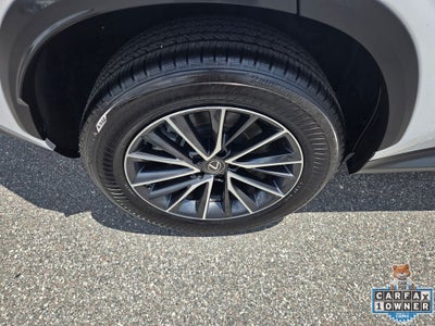 2023 Lexus NX 250 Base